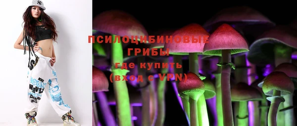дживик Богородицк