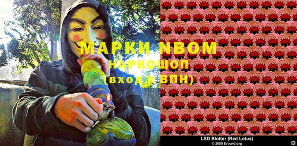дурь Богданович