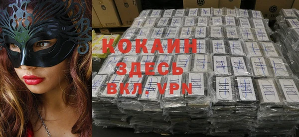 дживик Богородицк