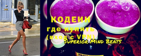 дживик Богородицк