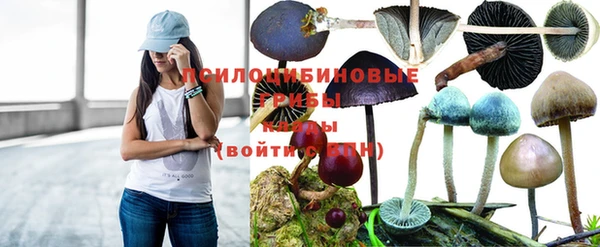 мескалин Бугульма