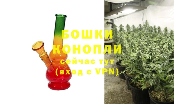 дживик Богородицк