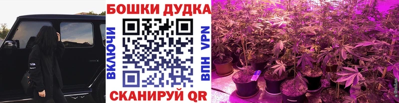 Каннабис ГИДРОПОН Грязовец